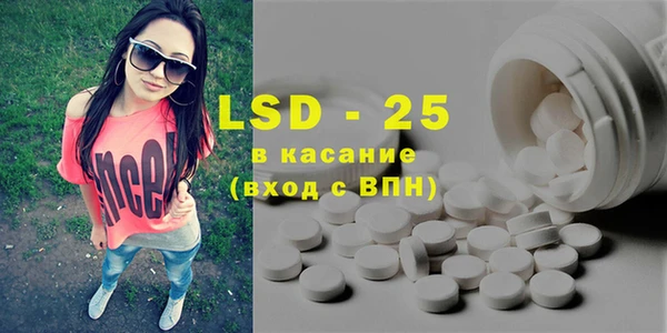 PSILOCYBIN Новодвинск