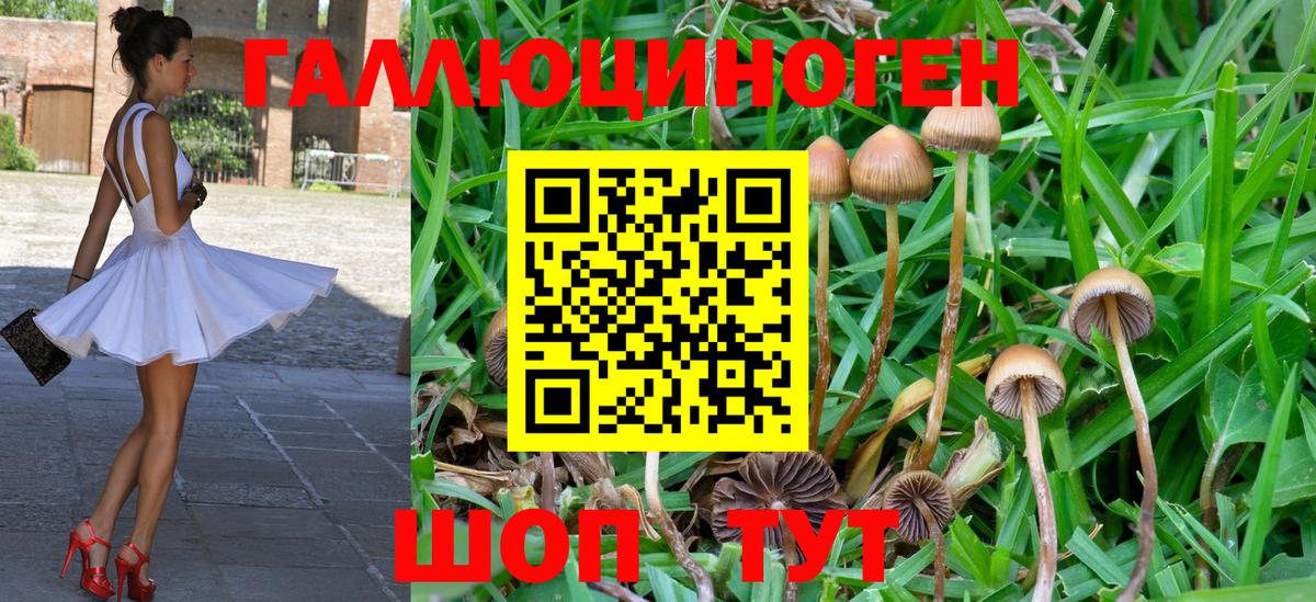 наркошоп  Галлюциногенные грибы мухоморы  Вход с VPN  Конаково 