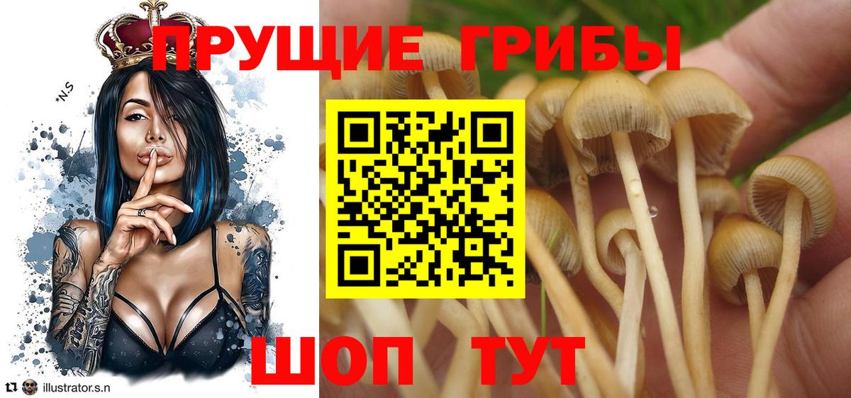 Псилоцибиновые грибы ЛСД  купить   Конаково 