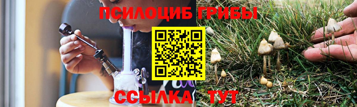 Псилоцибиновые грибы Magic Shrooms Конаково