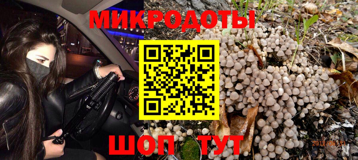 Псилоцибиновые грибы мухоморы Конаково